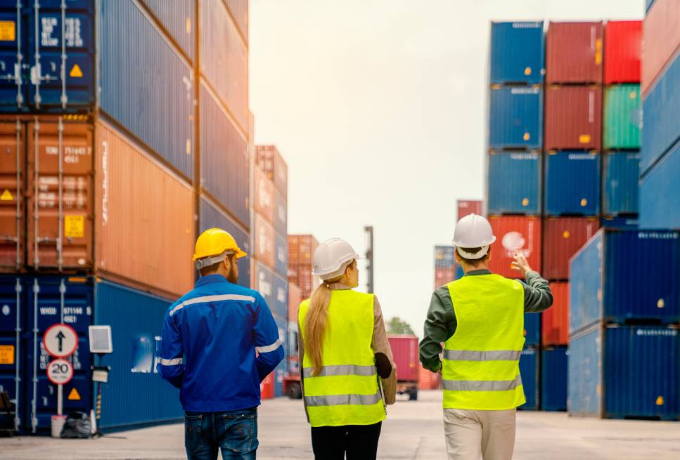 Supply Chain Solutions in Australia by VNC